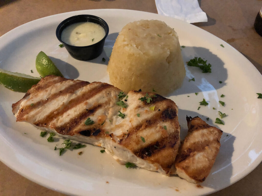 Planning a Day Trip to Arecibo? Here’s Everything You Need to Know - Salitre Meson Costero